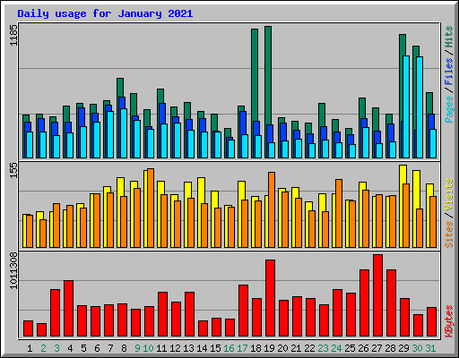 Daily usage for January 2021