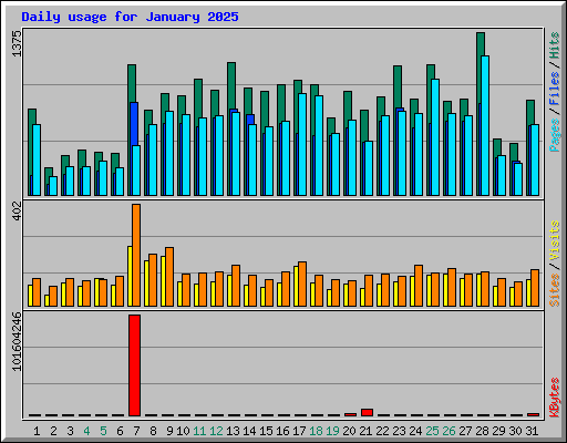 Daily usage for January 2025