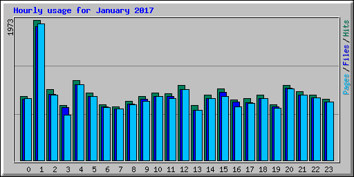 Hourly usage for January 2017