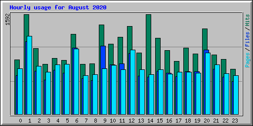 Hourly usage for August 2020