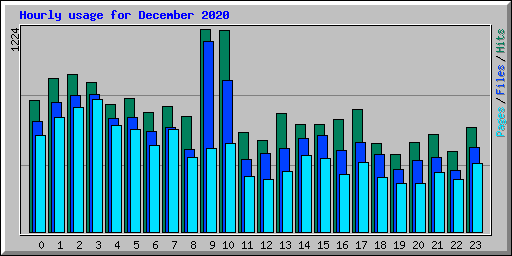 Hourly usage for December 2020