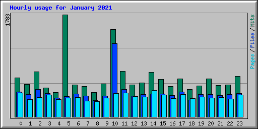 Hourly usage for January 2021