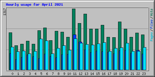 Hourly usage for April 2021