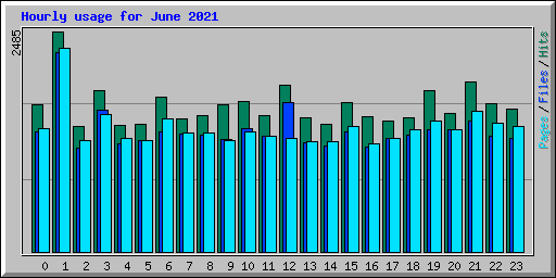 Hourly usage for June 2021