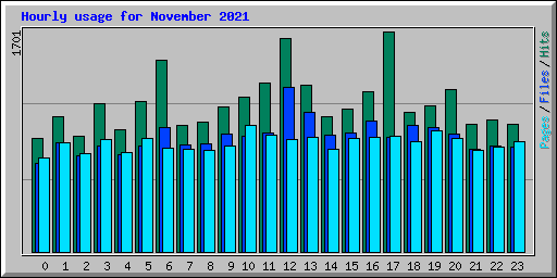 Hourly usage for November 2021