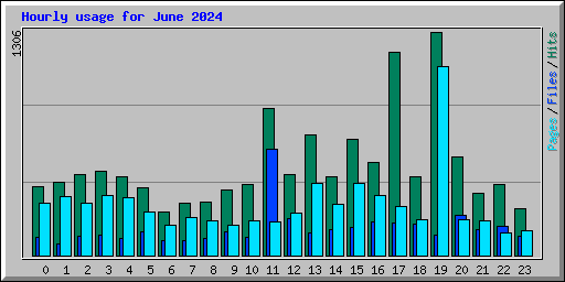 Hourly usage for June 2024