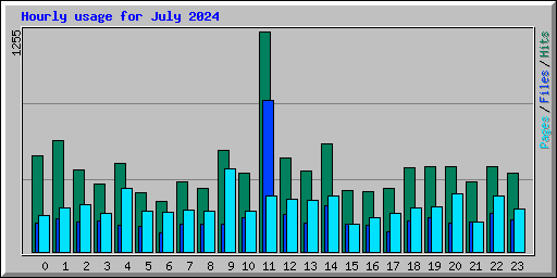 Hourly usage for July 2024