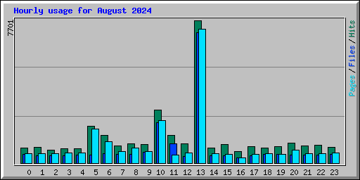 Hourly usage for August 2024