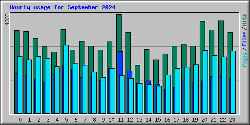 Hourly usage for September 2024