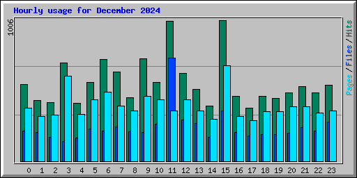 Hourly usage for December 2024
