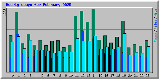 Hourly usage for February 2025