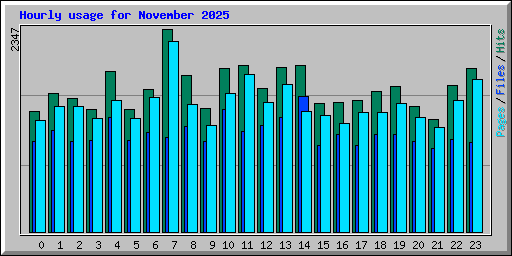 Hourly usage for November 2025