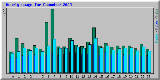 Hourly usage for December 2025