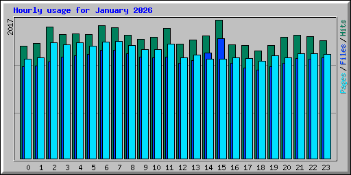 Hourly usage for January 2026